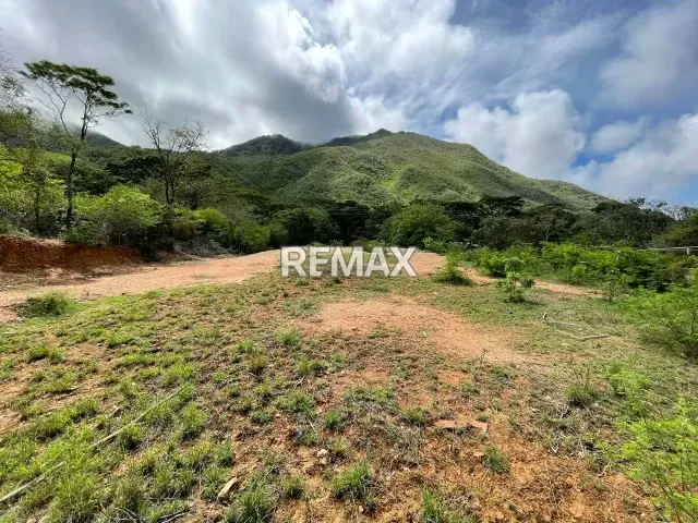TERRENO EN VENTA – AVENIDA 31 DE JULIO, SECTOR COCHEIMA, ISLA DE MARGARITA - 14