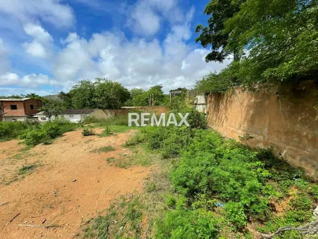 TERRENO EN VENTA – AVENIDA 31 DE JULIO, SECTOR COCHEIMA, ISLA DE MARGARITA - 17
