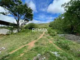 Vista 5
