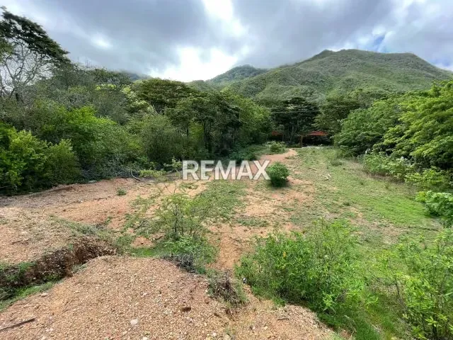 TERRENO EN VENTA – AVENIDA 31 DE JULIO, SECTOR COCHEIMA, ISLA DE MARGARITA - 8