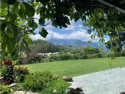 Vista 14