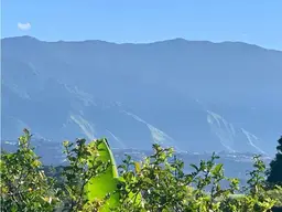 Vista 15