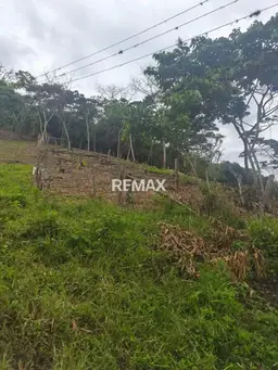 View 1