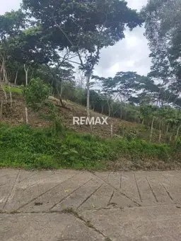 View 3