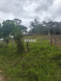 View 5