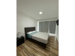 Vista 5