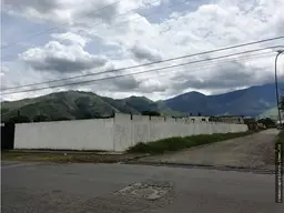 Vista 1