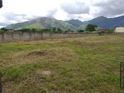 Vista 11