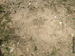 Vista 13