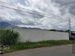 Vista 4
