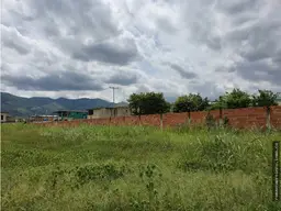 Vista 5