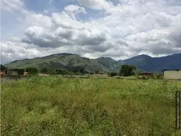 Vista 6