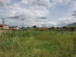 Vista 7