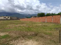 Vista 10
