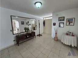 Vista 5