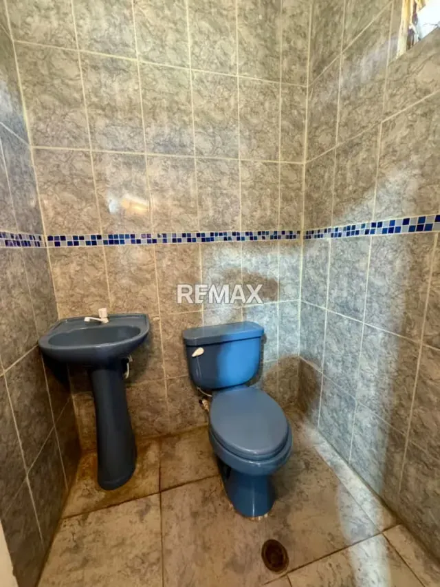 AUTOLAVADO Y TALLER CON GALPON EN VENTA, AVENIDA LOS HATICOS - 13