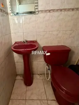 Vista 14