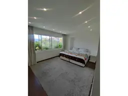 Vista 19