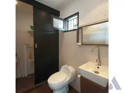 Vista 19