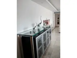 Vista 19
