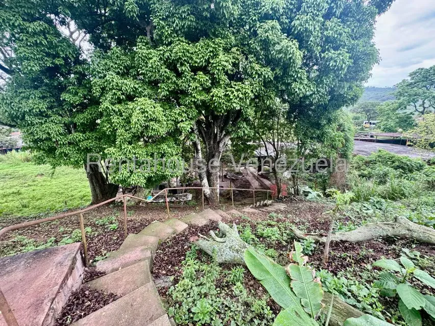 Terreno (Industrial) en Venta en Zona Industrial Puente Real, Tachira - 13