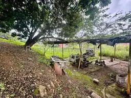 Vista 14