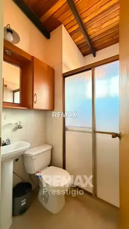 Vista 19