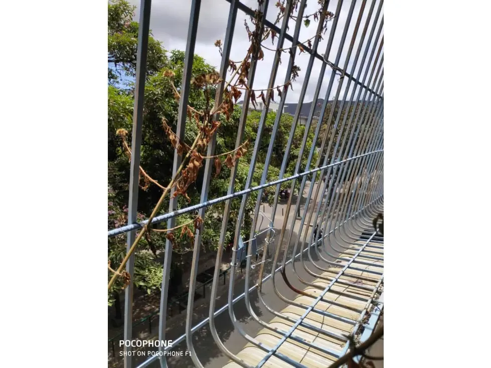 Alquilo edificio/local 542 m2 El Cementerio 8196 - 6