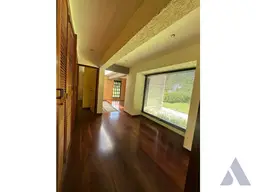 Vista 19