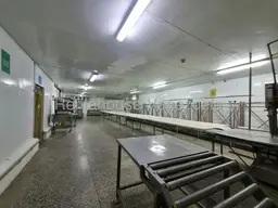 Vista 19