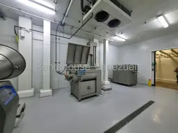 Vista 25