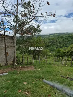 Vista 5