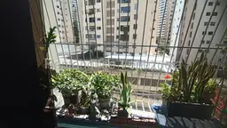 Vista 26