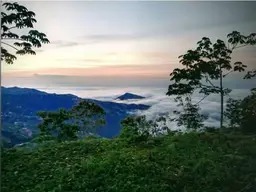 View 3
