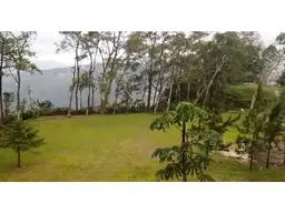 View 10