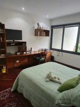 Vista 5