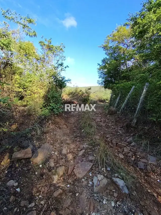 En venta Lote de 3,63 hectáreas de tierras descansadas en Asentamiento Campesino El Cacao, Parroquia El Baño – Motatán, Estado Trujillo.