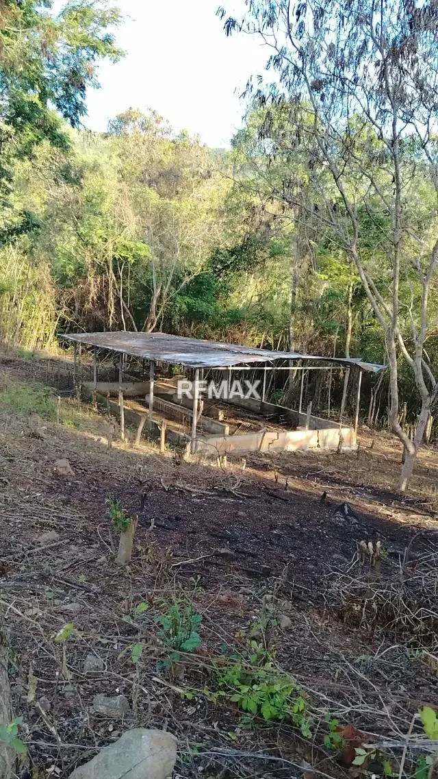 En venta Lote de 3,63 hectáreas de tierras descansadas en Asentamiento Campesino El Cacao, Parroquia El Baño – Motatán, Estado Trujillo. - 2