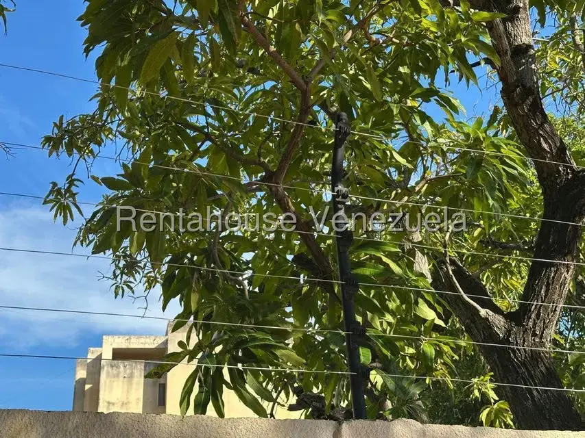 Casa (1 Nivel) en Alquiler en Zapara, Zulia - 39