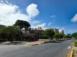 Vista 19