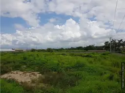 Vista 11