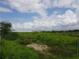 Vista 6
