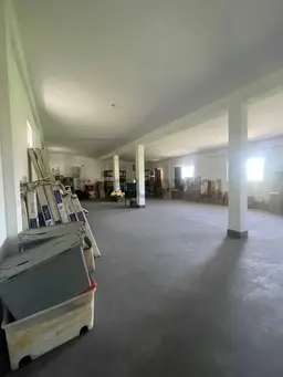 Vista 12