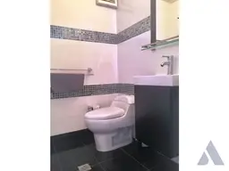 Vista 14
