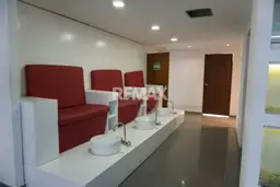 Vista 13