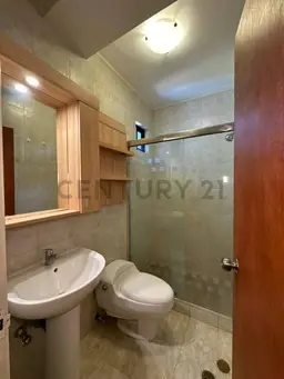 Vista 15