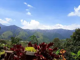 View 7