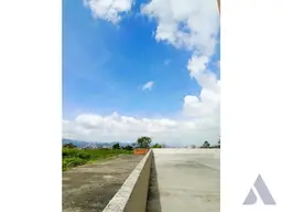 View 31