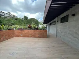 Vista 19