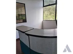 Vista 24